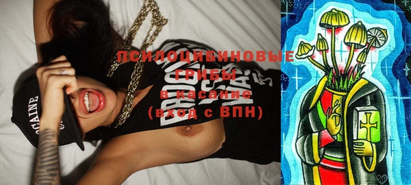 твердый Киреевск
