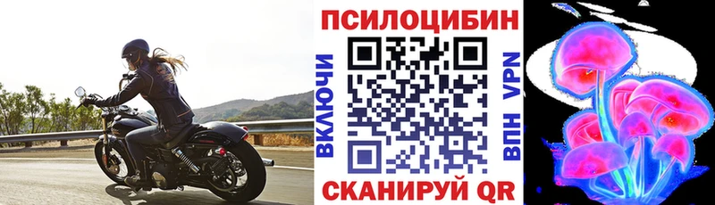 Галлюциногенные грибы мухоморы  Купить закладки  Новосокольники 